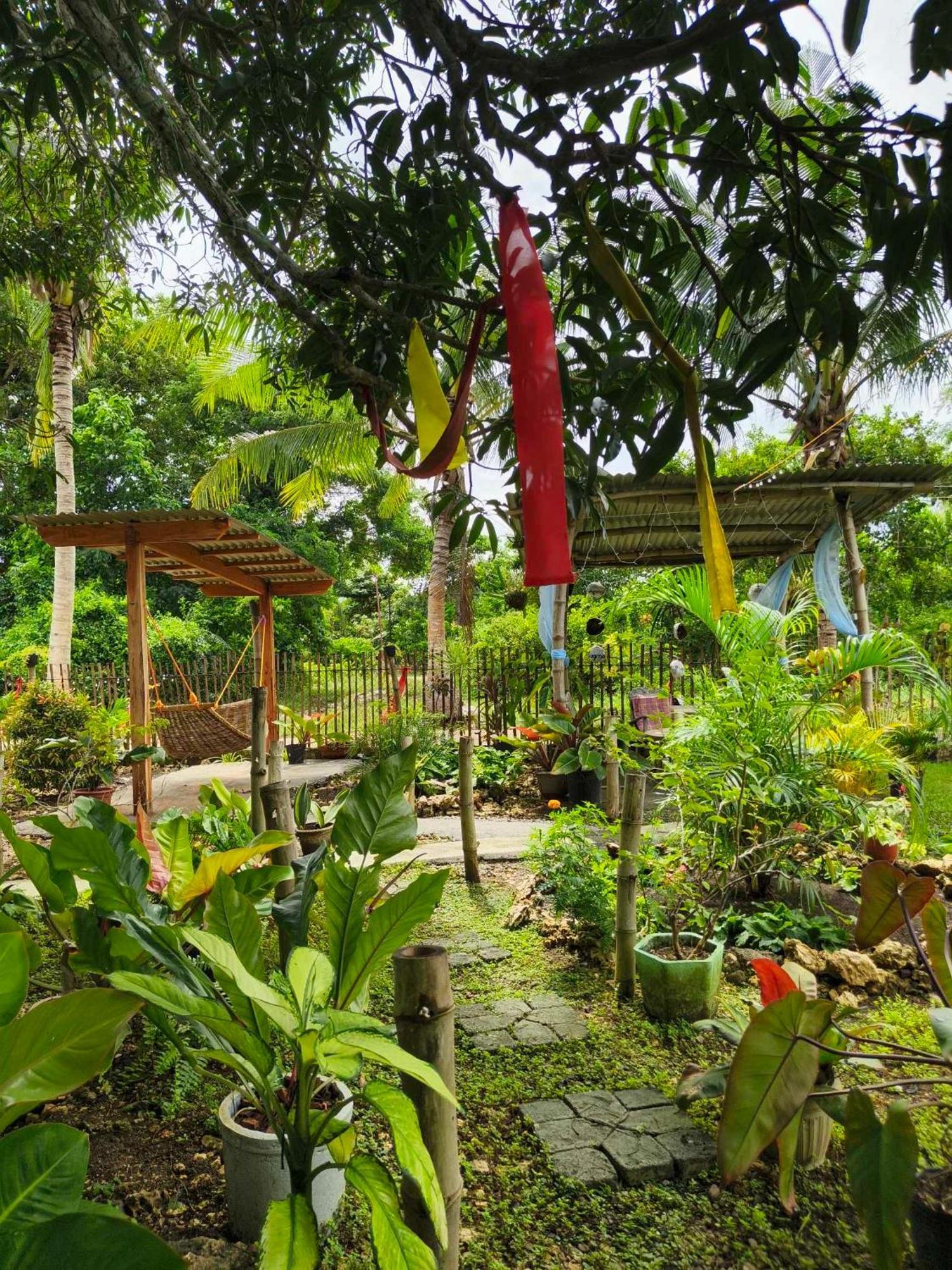 Lagkaw Uno In Lagkaw Homestay Panglao Eksteriør bilde
