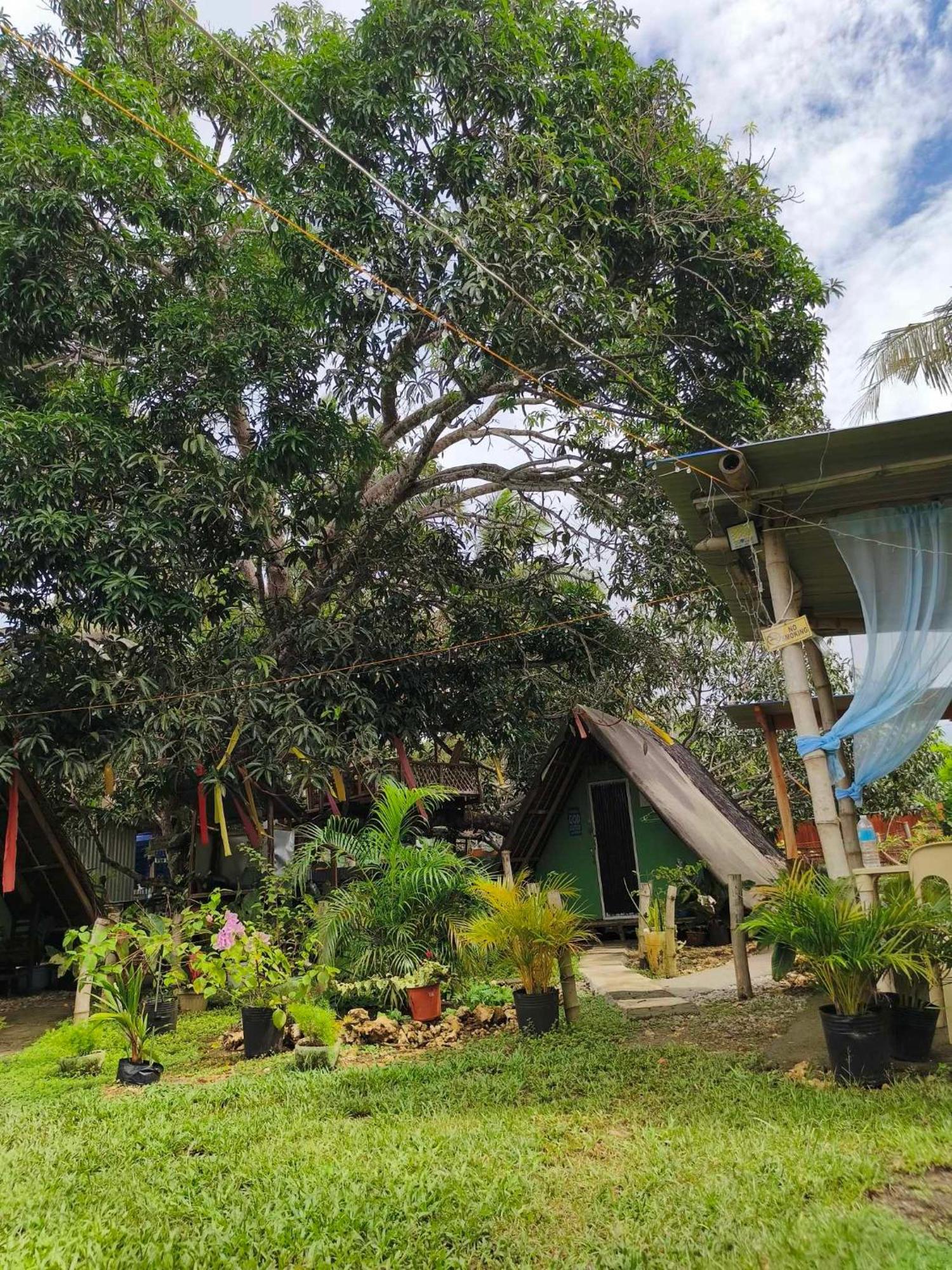 Lagkaw Uno In Lagkaw Homestay Panglao Eksteriør bilde